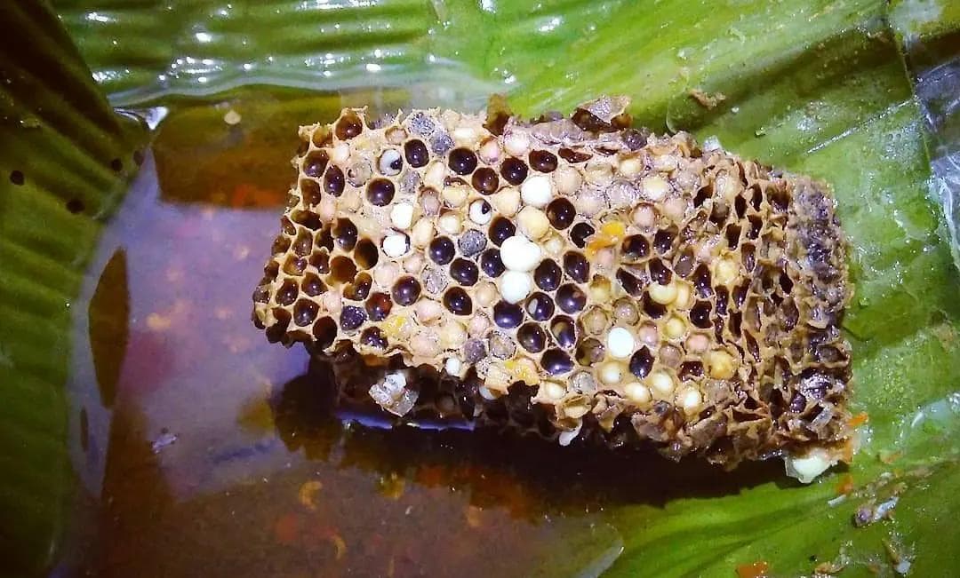 Botok tawon