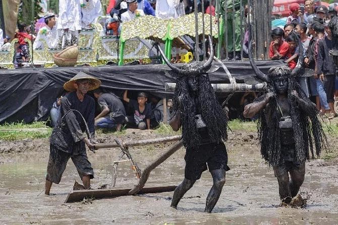 Kebo-keboan Alasmalang 