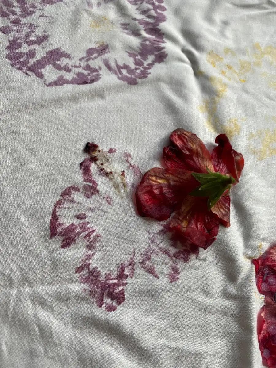 Fresh flowers used as natural motifs for eco print